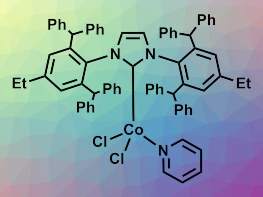 New Cobalt Catalyst with a Bulky N-Heterocyclic Carbene Ligand