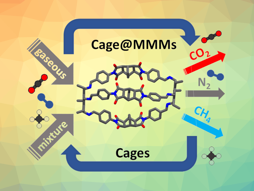 CO2 Separation by Imide/Imine Organic Cages