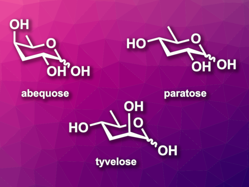 Asymmetric Synthesis of 3,6-Dideoxy Sugars