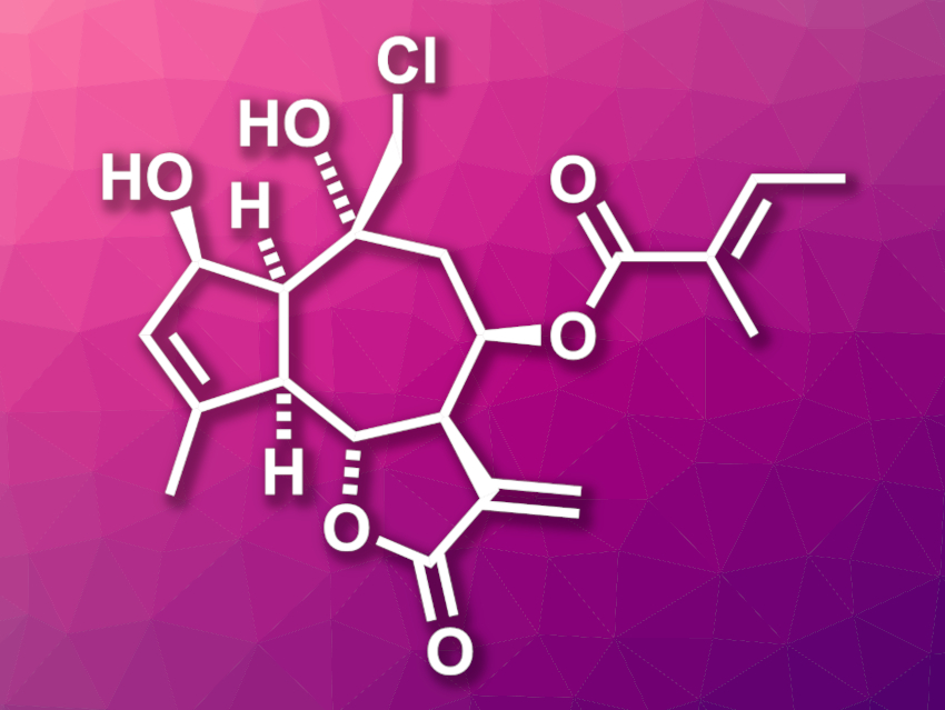 Asymmetric Total Synthesis of Eupalinilide E