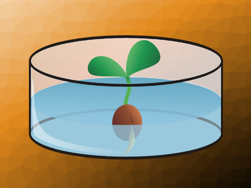 Artificial Photosynthesis for Food Production