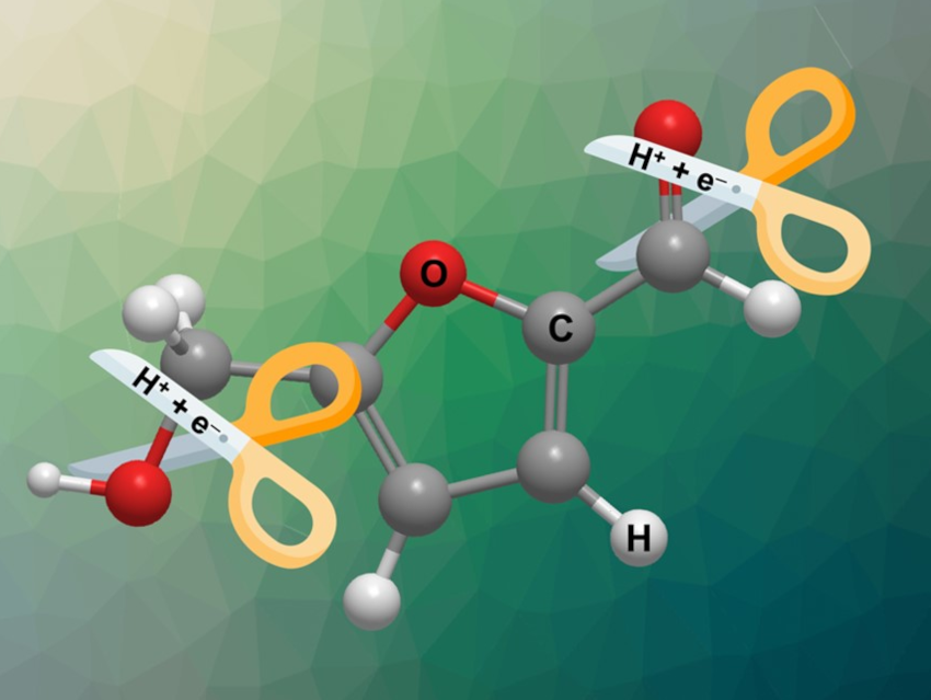 Understanding Electrochemical Hydrogenation and Hydrogenolysis