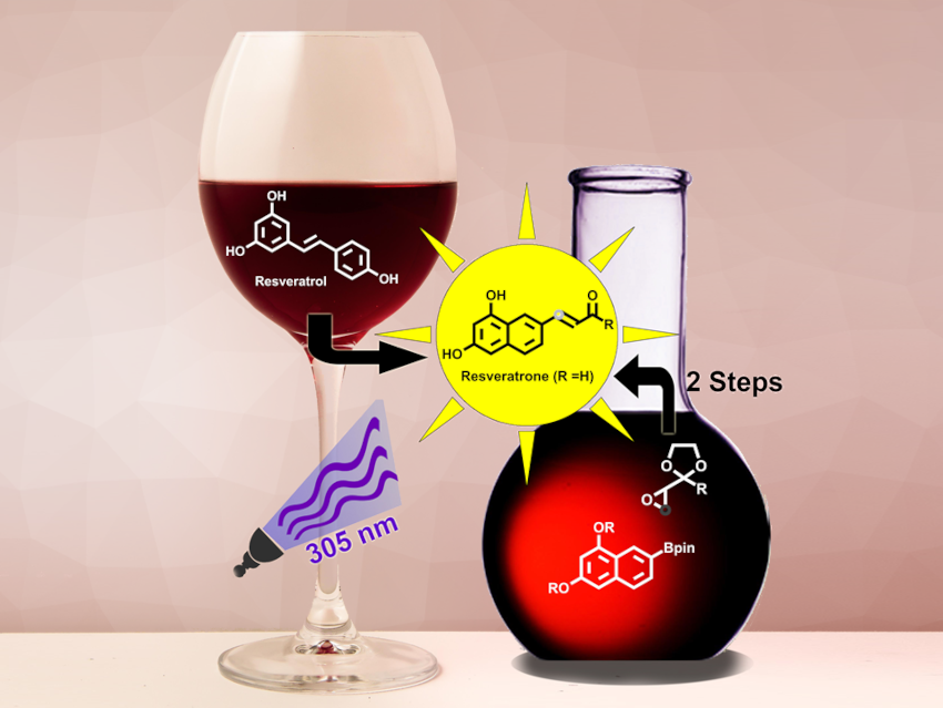 Resveratrone and iso‐Resveratrone Synthesized