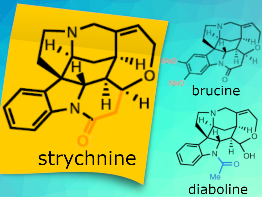 Complete Biosynthesis of Strychnine