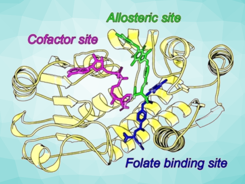 Anticancer Drugs with Improved Selectivity