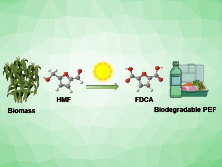 Economical Production of a Biobased PET Alternative