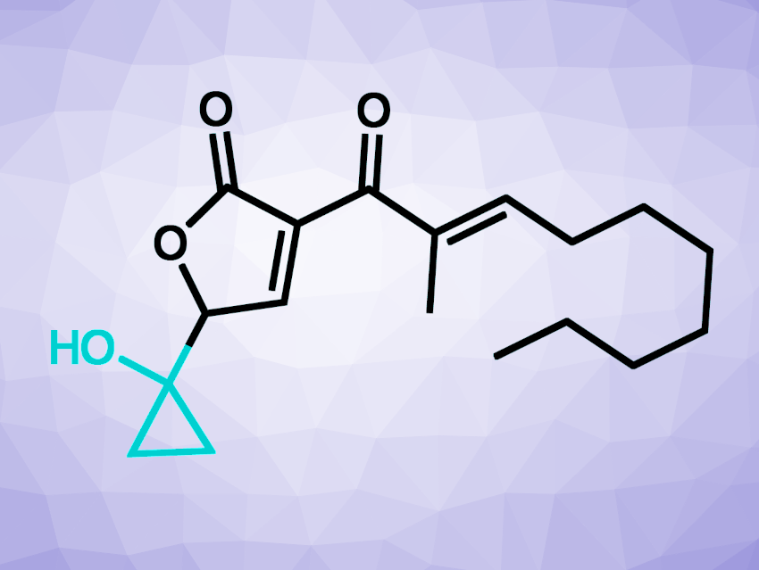 Understanding How Pathogenic Bacteria Build Their Virulence Factors