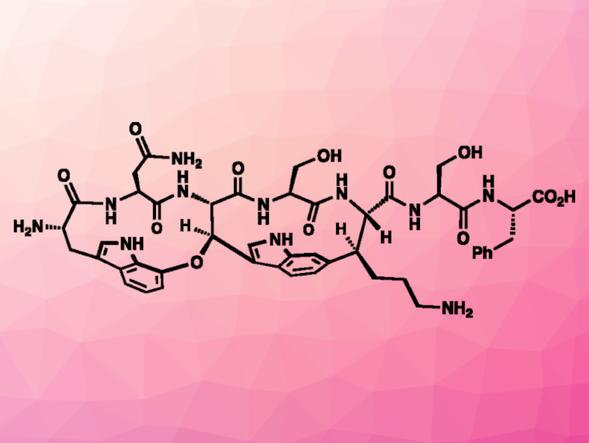 Total Synthesis of the Antibiotic Darobactin A