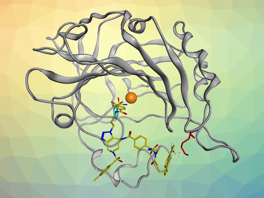 Probes for In-Situ Site-Specific Protein Labeling