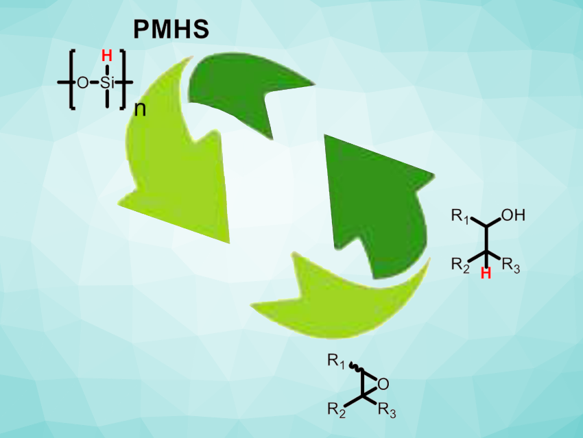 Adding Value to Waste Products of the Silicone Industry