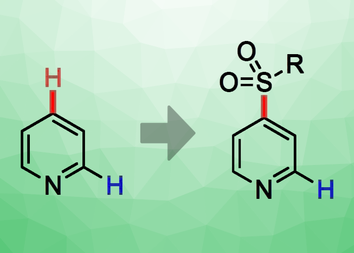 Base-Mediated Site-Selective Sulfonylation of Pyridine