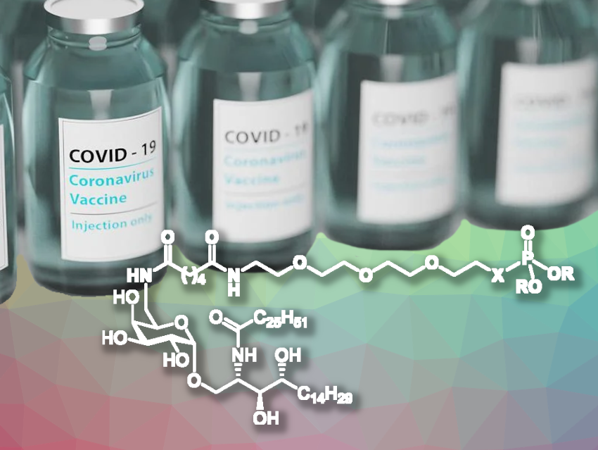 New Adjuvant for Protein-Based COVID-19 Vaccines