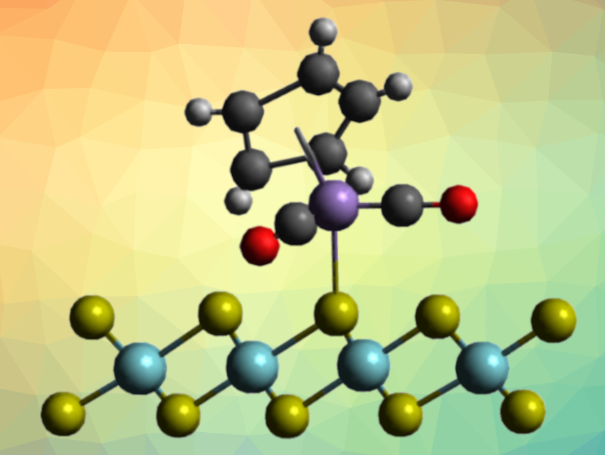 NbS2 Nanosheets Functionalized with a Manganese Complex