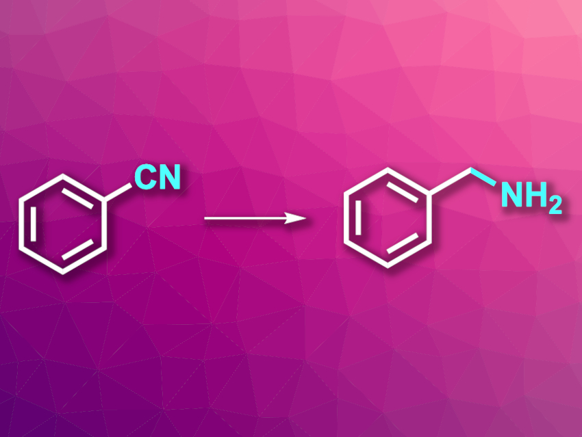 Nickel Nanoparticle Catalyst for the Hydrogenation of Nitriles