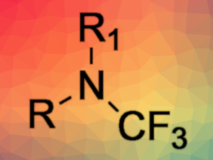 Easy and Inexpensive Path to Trifluoromethyl Amines