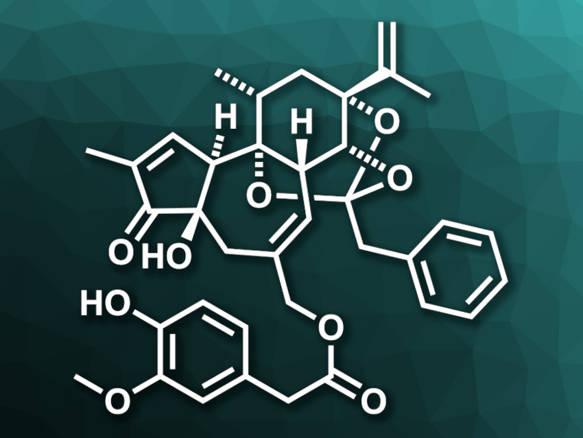 Total Synthesis of Resiniferatoxin