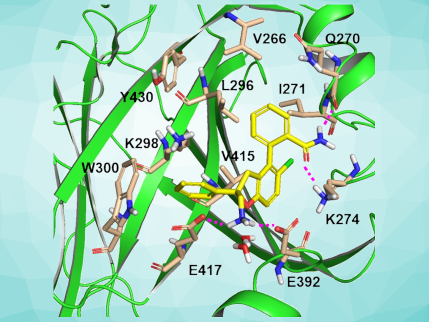 New Inhibitors for Important Target in Anticancer Drug Research