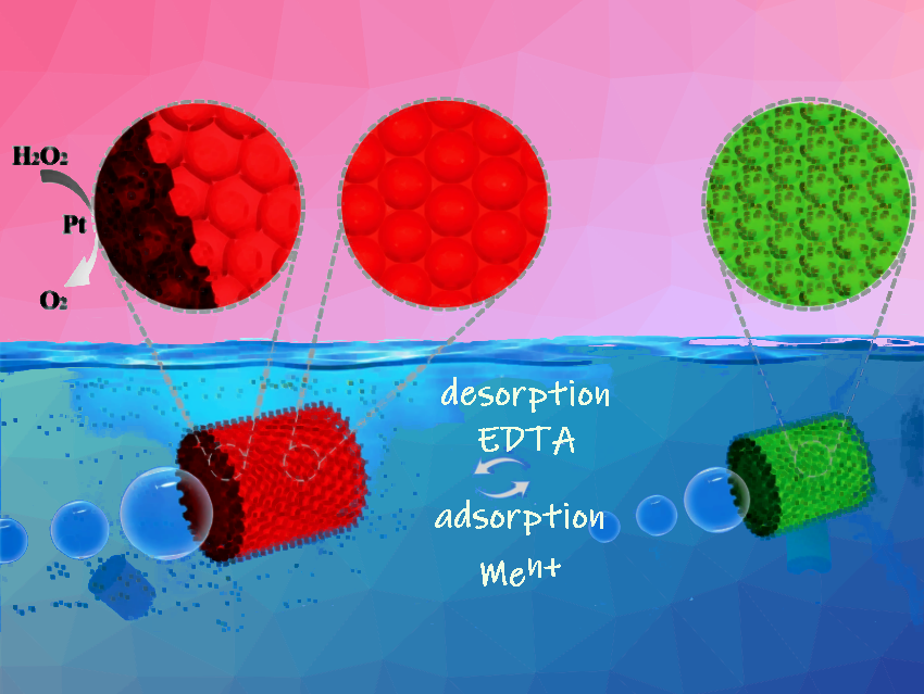 Self-Propelled Micromotors Remove Heavy Metal Ions