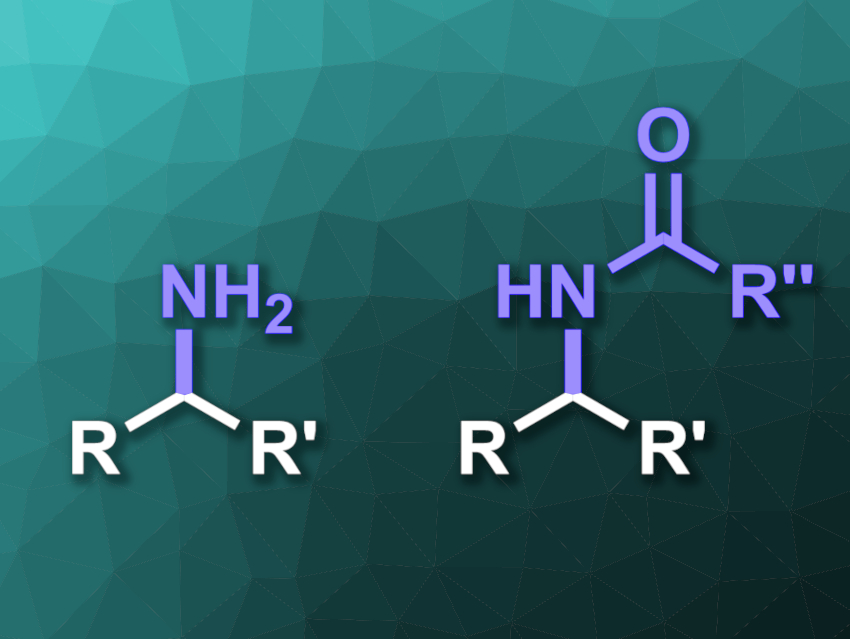 Enzyme Used to Insert Nitrogen into Unactivated C–H Bonds