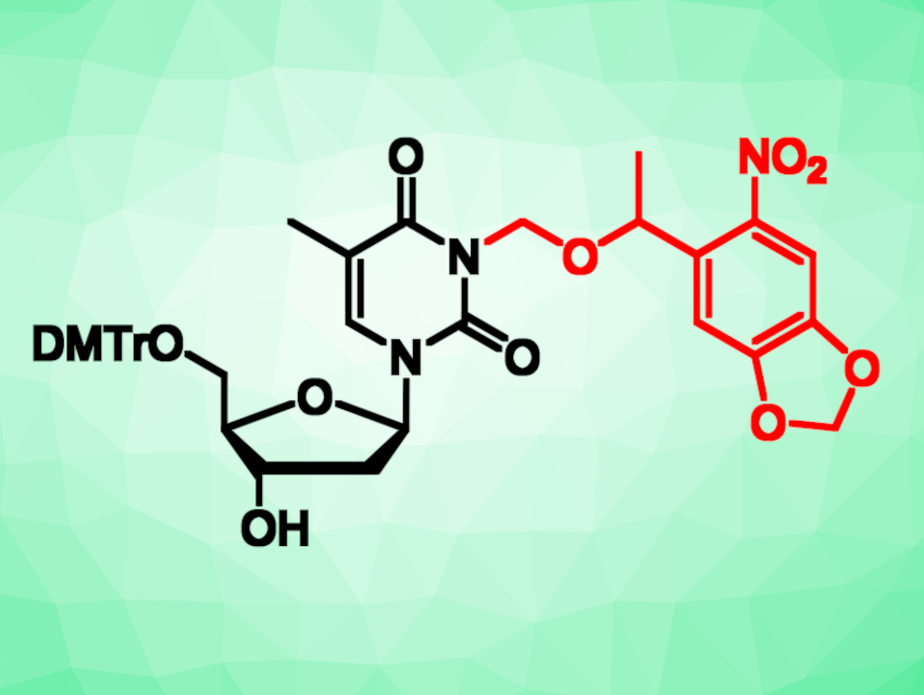 Photoactivation of Caged Nucleosides