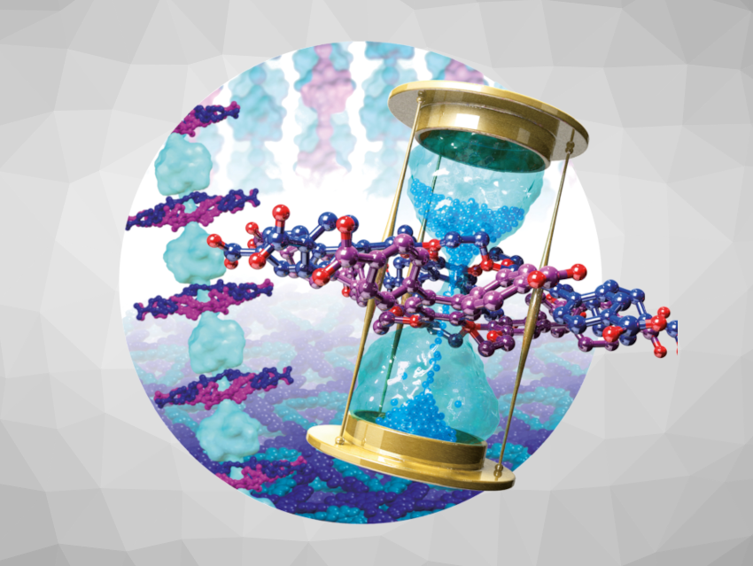 Angewandte Chemie 45/2022: Conductive Networks