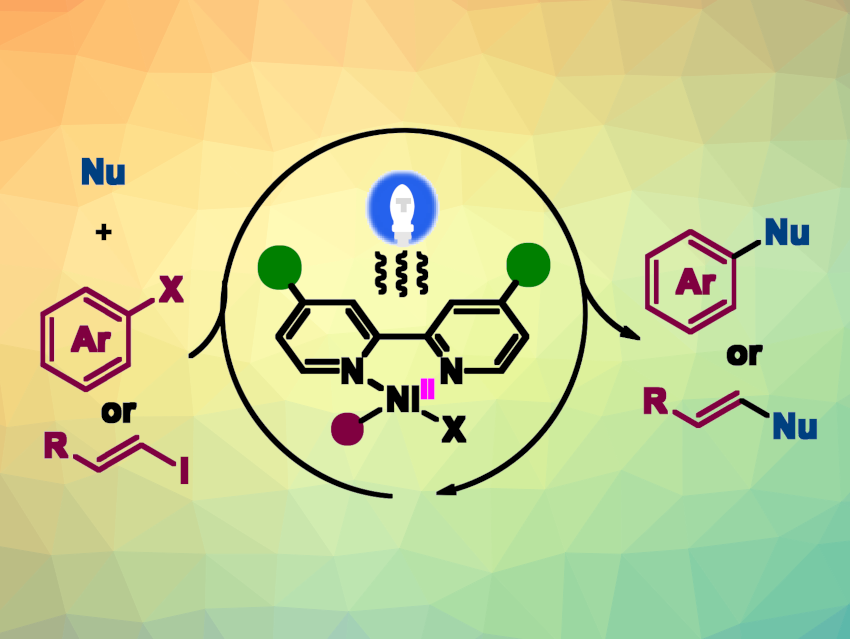 Photo-Induced Nickel-Catalyzed Carbon-Heteroatom Coupling