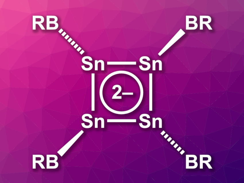 Heavier Analogue of the Cyclobutadiene Dianion