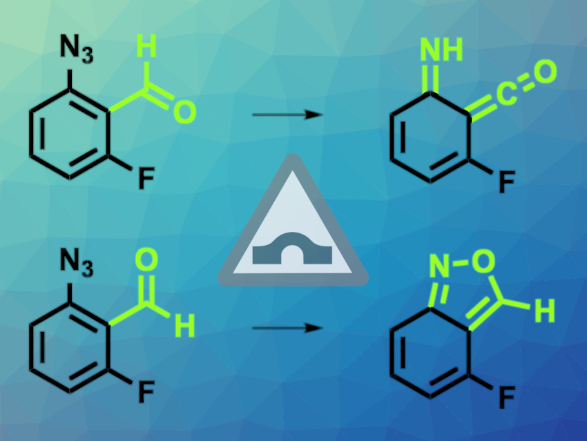 Conformers Undergo Different Reactions Controlled by Quantum Tunneling