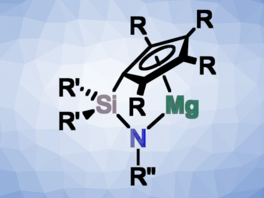 Half-Sandwich Complexes of Magnesium as Catalysts