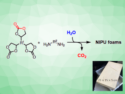 Polyurethane Foams without Isocyanate