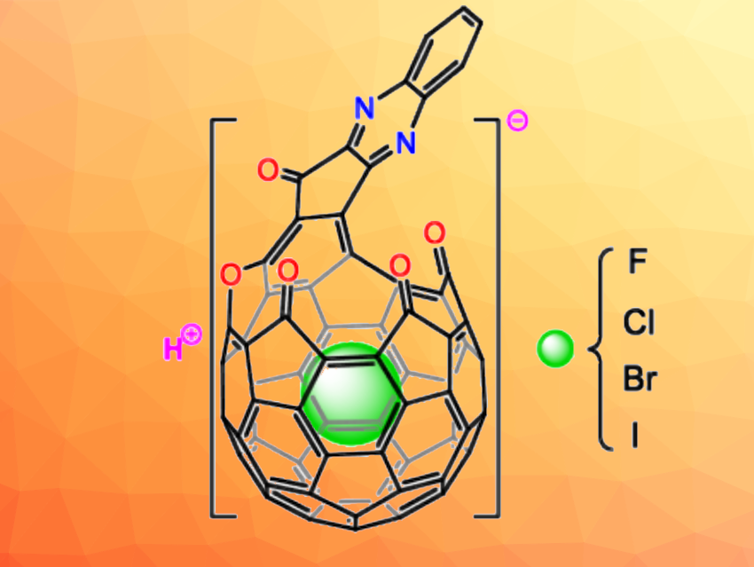 Open-Cage Fullerene Encapsulates Anions