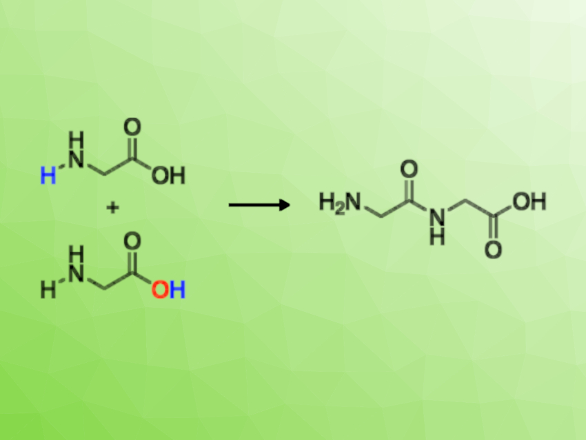 Prebiotically Plausible Peptide Formation