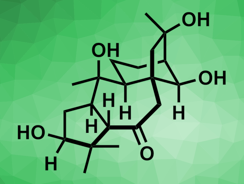 First Total Synthesis of (−)-Principinol C