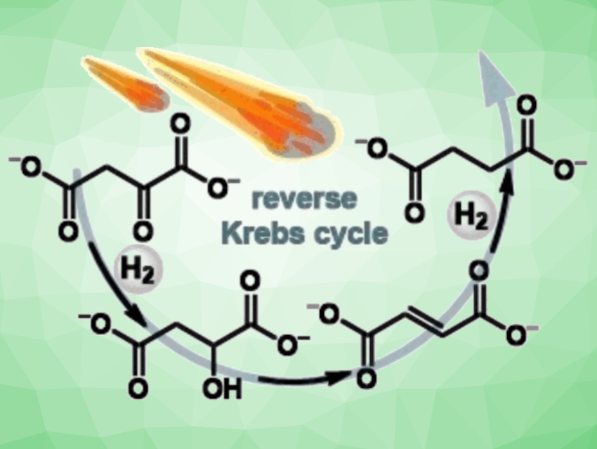 Primeval Reaction Pathways