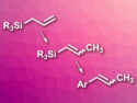 Styrene Derivatives Synthesized from Allyl Silanes