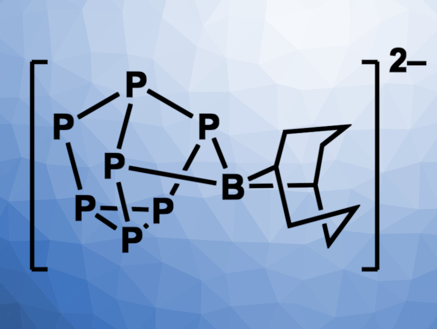 Boron-Functionalized Heptaphosphide Zintl Cluster