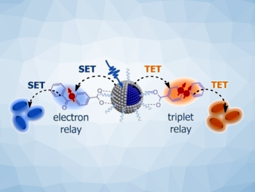 Quantum Dots Store Light Energy and Drive Chemical Reactions