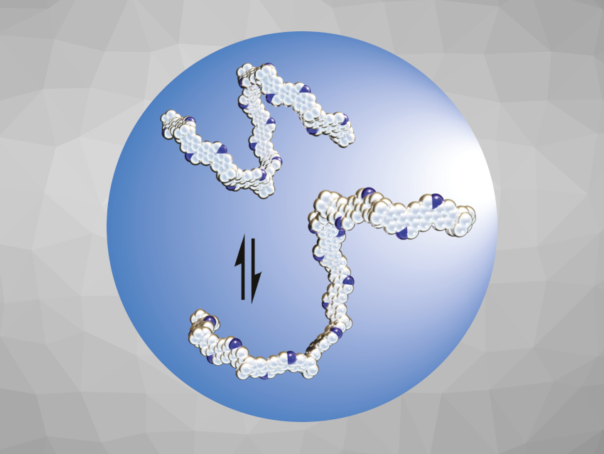 Angewandte Chemie 50/2022: Sustainable Reactions