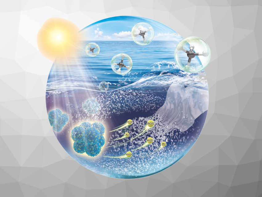 Angewandte Chemie 52/2022: Long-Range Interactions