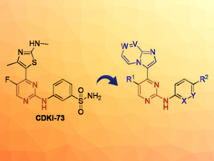 Inhibitors of Cyclin-Dependent Kinases Could Serve as Cancer Drugs