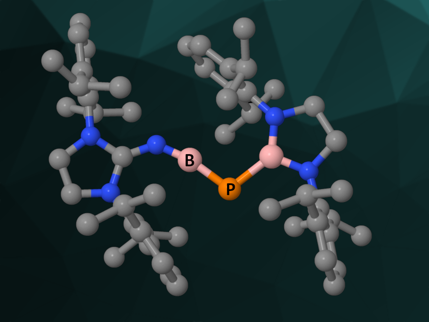 Stable Free Phosphaborene