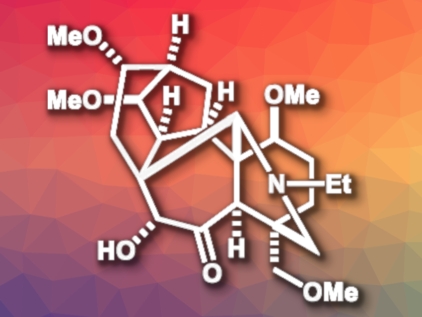 Total Synthesis of Puberuline C