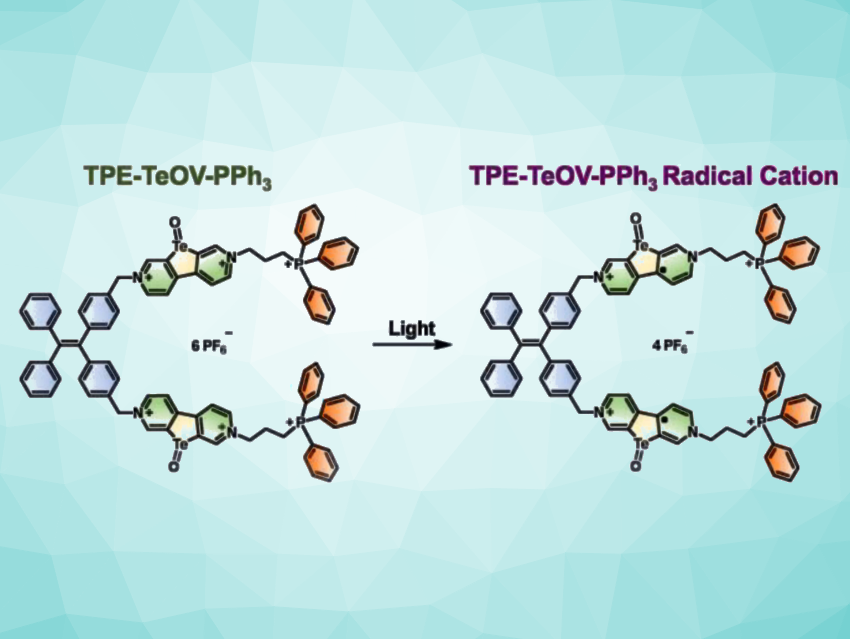 Telluroviologen Derivatives for Photodynamic Therapy