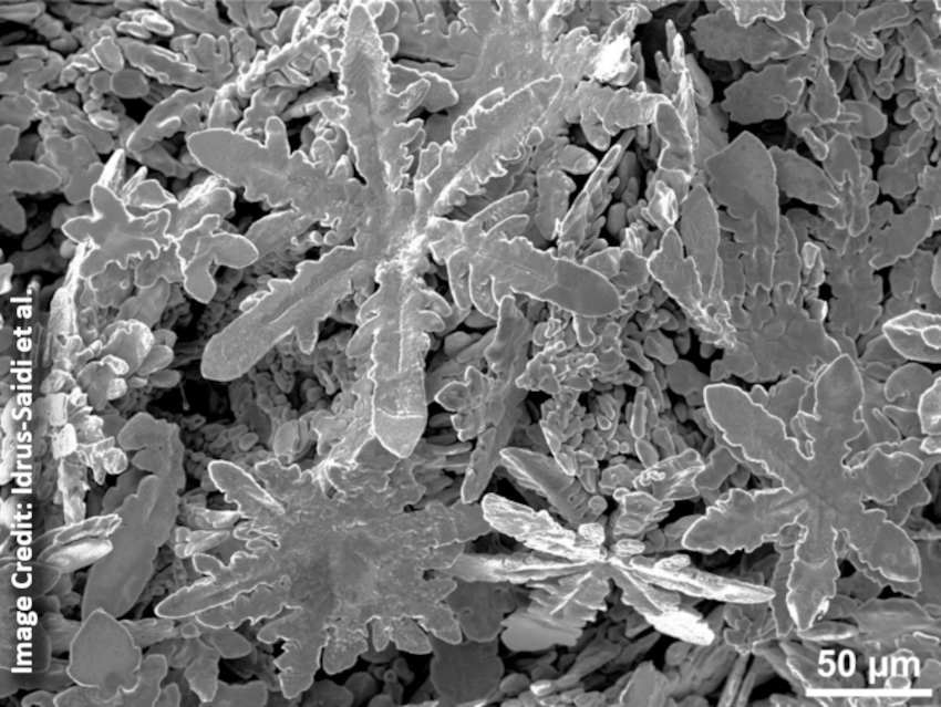 Zinc “Snowflakes” Grown in Liquid Gallium