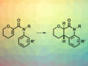 Enantioselective Photocyclization of Acrylanilides