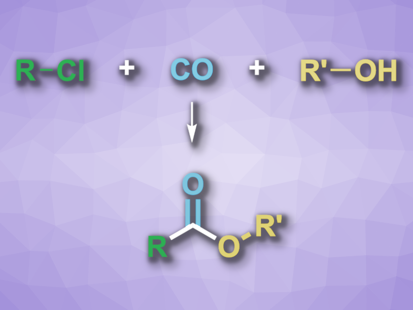 Alkoxycarbonylation of Unactivated Alkyl Chlorides