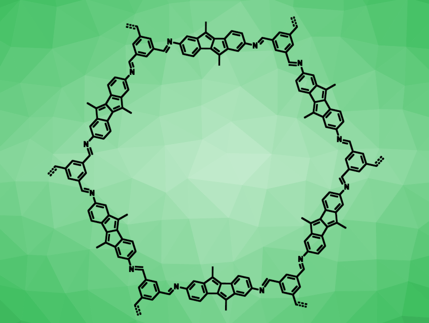 Antiaromatic Covalent Organic Frameworks