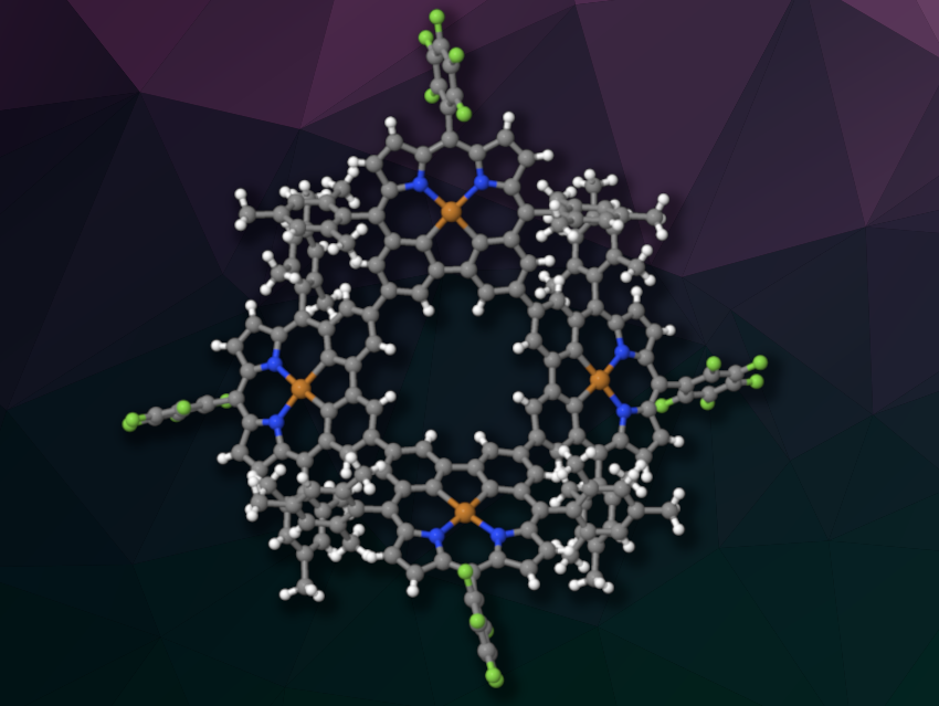 Cyclic Carbaporphyrin Arrays