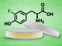 Fluorinated Proteins Expressed in Human Cells for NMR Spectroscopy