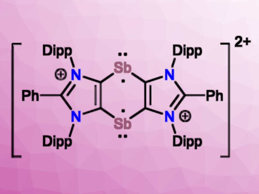 Annulated 1,4-Distibabenzene Diradicaloid Isolated